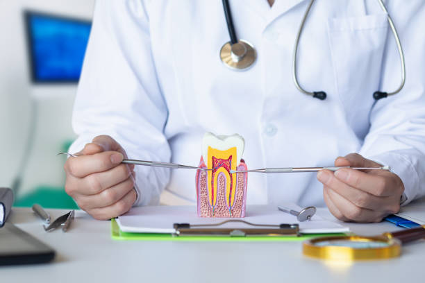 Best Dentist for Dental Trauma  in Coyne Center, IL